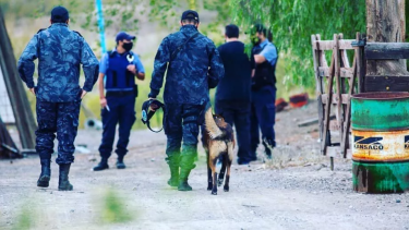 Personal de la División de Canes realizaron rastrillajes en la zona. 