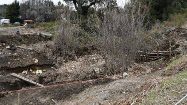 La zona oeste de Bariloche concentra la mayor parte de bosque nativos y es donde crecen sin  pausa las urbanizaciones. (foto Alfredo Leiva)