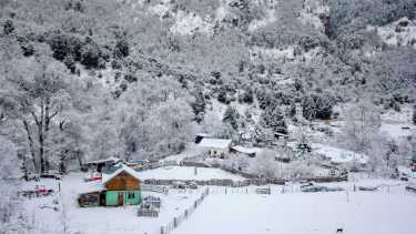 San Martín de los Andes, el bosque nevado en este invierno 2022. Foto: Patricio Rodriguez.