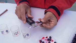 Crean una plataforma para el manejo sustentable de especies nativas