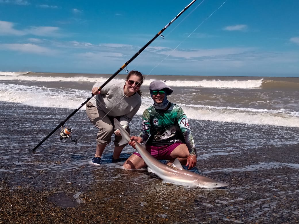 Investigadores y pescadores ya realizaron el marcado y la devolución con vida de más de 1.400 tiburones costeros en el Mar Argentino