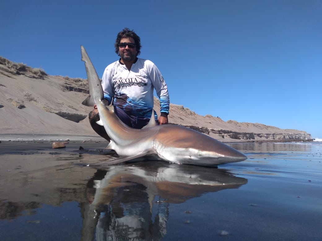 La iniciativa de ciencia ciudadana se hace a través de nodos a lo largo de la costa argentina que alientan a los pescadores a devolver ejemplares capturados