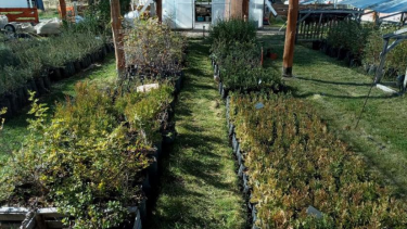 En una segunda instancia, la plataforma sumará a organizaciones y empresas privadas