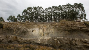Descubrieron un bosque fosilizado de 290 millones de años en Brasil