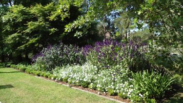 Es fundamental tomar en cuenta los crecimientos y floraciones, también para considerar a la hora de la plantación.