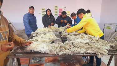 Cerca de una veintena de jóvenes se capacitaron bajo el protocolo Prolana. Foto: gentileza. 