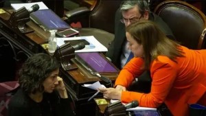 Video: la picante frase que se le escapó a Cecilia Moreau en el debate por la Boleta Única
