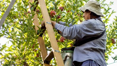 Las solicitudes de financiamiento para la conversión suman -hasta ahora- cinco por unos 6 millones.