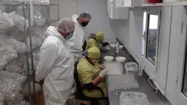 El control biológico en frutales ya es una realidad en los Valles de la Patagonia Norte