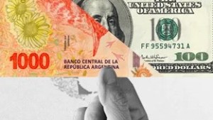 Suba del dólar: los argentinos siguen comprando y ya tienen en sus manos 243 mil millones