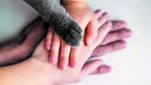 ¿Por qué ya no se le dice «mascotas» a los animales domésticos?