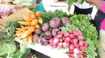 Imagen de Roca tendrá su primera feria de familias productoras agroecológicas y en transición