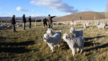 Más herramientas para afrontar el cambio climático