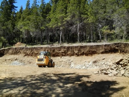 Vecinos de dos reservas urbanas del oeste de Barloche denuncian varios casos de talas autorizadas para obras privadas. Gentileza