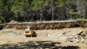 Denuncian riesgo ante talas autorizadas en reservas urbanas de Bariloche