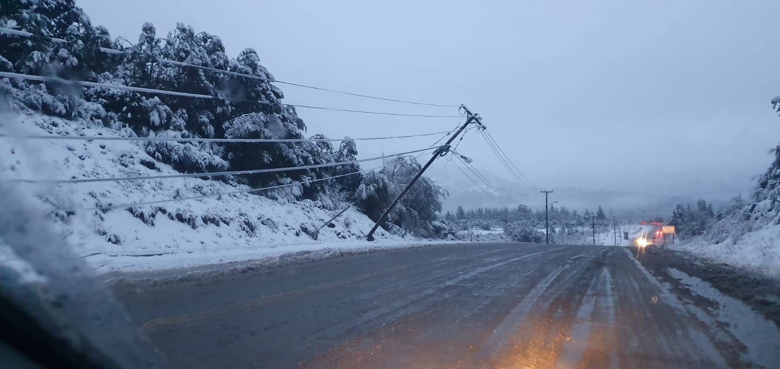 El tendido eléctrico en un sector de la ruta provincial 82 se desplomó por el temporal de nieve esta tarde de martes, en la zona oeste de Bariloche. (foto gentileza)