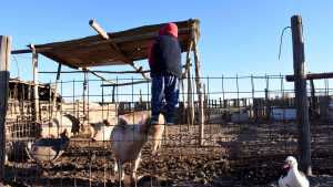 Otra zona productiva de Neuquén amenazada por la ciudad: Colonia Nueva Esperanza