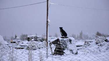La foto de Matías Subat, reportero gráfico de RÍO NEGRO, que fue elegida para la muestra. 