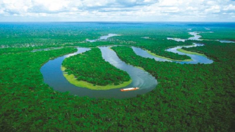 El periodista viajó al norte de Brasil para realizar una investigación en la Amazonia.