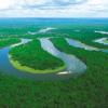 Imagen de Camino a una Amazonia sostenible