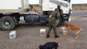 Prisión preventiva para el chófer de un camión que transportaba 78 kilos de droga cerca de SAO