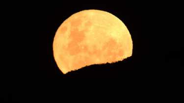 La luna se puede apreciar con un brillo especial esta noche. (Foto: Alejandro Carnevale)