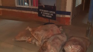 Tres decomisos de carne en un solo día: desbarataron el ingreso ilegal a Roca