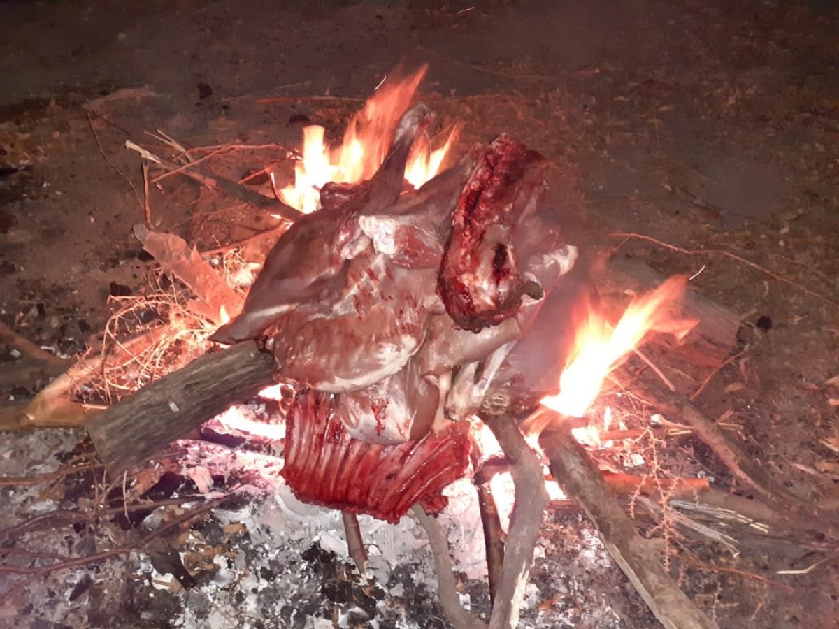 La carne de guanaco fue decomisada y destruida por personal policial. (Foto gentileza)