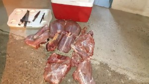 Decomisaron carne faenada de una especie protegida en operativo policial en Valle Azul