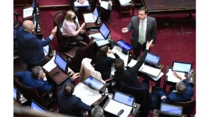 Video: casi terminan a las piñas en el Senado por una discusión sobre el Gobierno y Milagro Sala