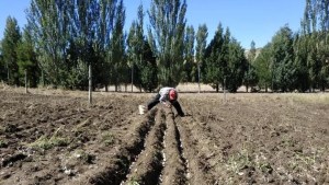 En Junín de los Andes se producen alimentos sanos y a precios justos