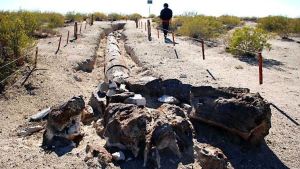 Valcheta está llena de fantasmas