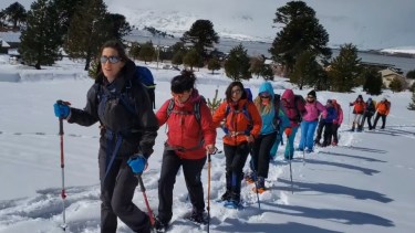 Una caminata por Primeros pinos entre arroyos, lagunas y pehuenes que se suman al encanto de la nieve. Fotos: Neuquén Tur.