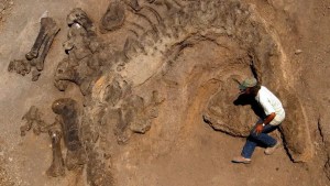 Brindarán capacitaciones en gestión de patrimonio arqueológico y paleontológico, en Roca