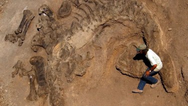 El próximo miércoles, brindarán capacitaciones en gestión de patrimonio arqueológico y paleontológico, en Roca. Foto Gentileza.
