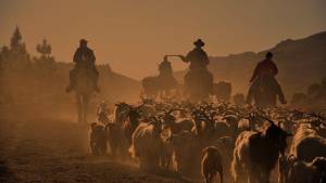 El día que Luis Sapag conoció a los arrieros del norte neuquino: «No se parecía a la vida, era la vida»