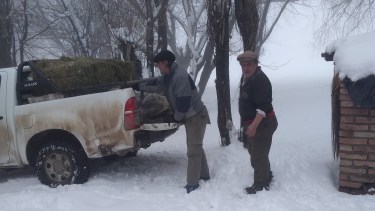 La asistencia llega a la zona rural. Foto: Gentileza. 