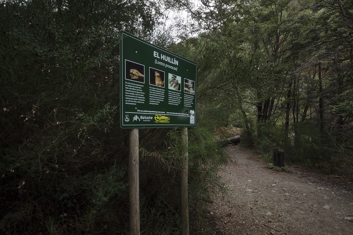 En el parque municipal Llao Llao hay senderos para caminar. Foto: Marcelo Martinez