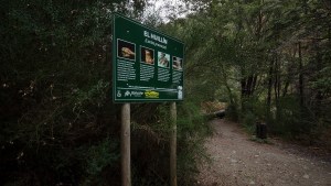 El parque municipal Llao Llao de Bariloche cobrará ingreso a los visitantes