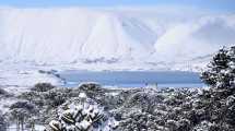 Imagen de Vuelve a nevar en Caviahue y todo renueva su blanco: mirá