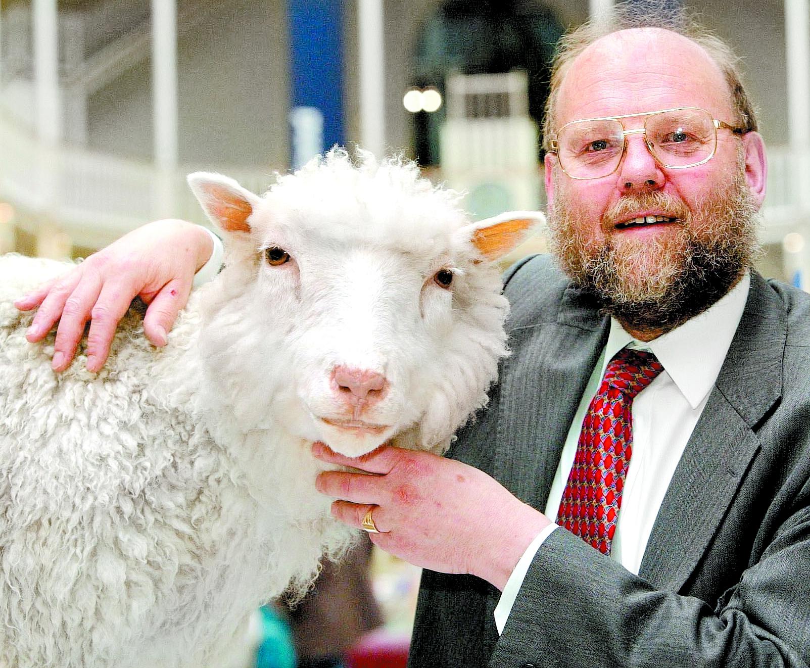 La famosa oveja nació el 5 de julio de 1996 y fue el primer mamífero clonado a partir de células adultas.