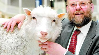 La famosa oveja nació el 5 de julio de 1996 y fue el primer mamífero clonado a partir de células adultas.