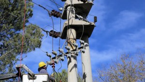 Trabajan para recuperar el servicio eléctrico en la Línea Sur