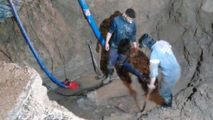 Se normaliza el servicio de agua en Viedma tras finalizar trabajos en un caño principal