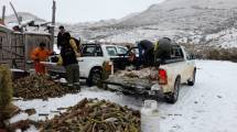 Imagen de En invierno, la ayuda a los pobladores rurales dice presente en la Región Sur
