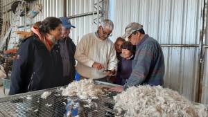 Día del Cooperativismo: En Valcheta la cooperativa La Amistad se diversifica en beneficio de los productores
