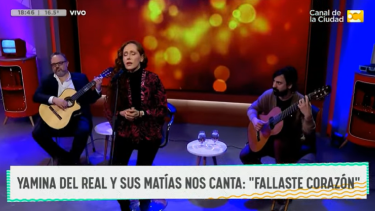 Matías Kulfas, exministro de Producción, tocó la guitarra en televisión. 