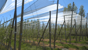 El potencial de las mallas anti granizo