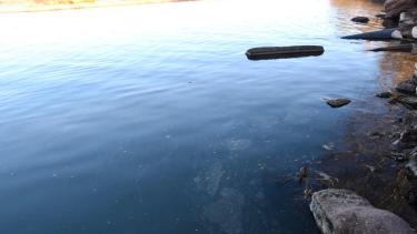 La descarga cloacal de la planta Tronador quedó al descubierto con la bajante del río, en el Paseo de la Costa (foto archivo Matías Subat)