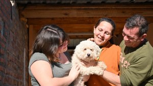 La historia de Noa, el perro de Cipolletti que salvó la vida de una vecina